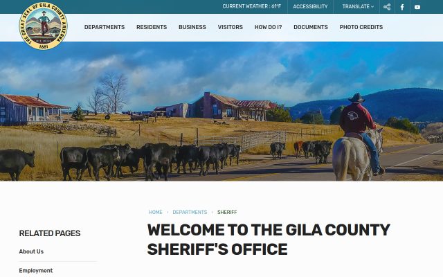 Screenshot of Gila County Jail website