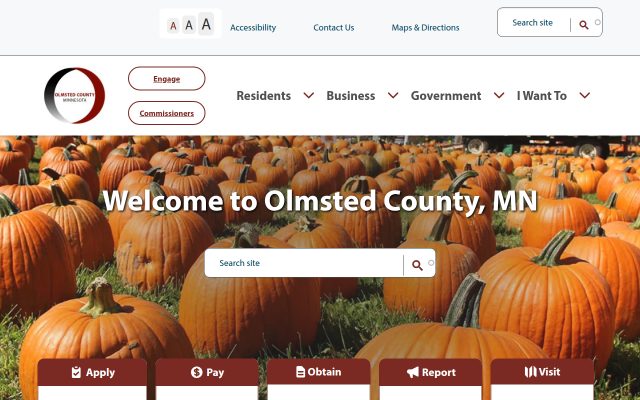 Screenshot of Olmsted County Adult Detention Center website