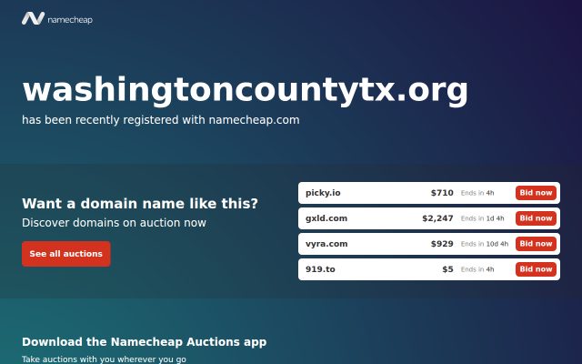 Screenshot of Washington County Jail website